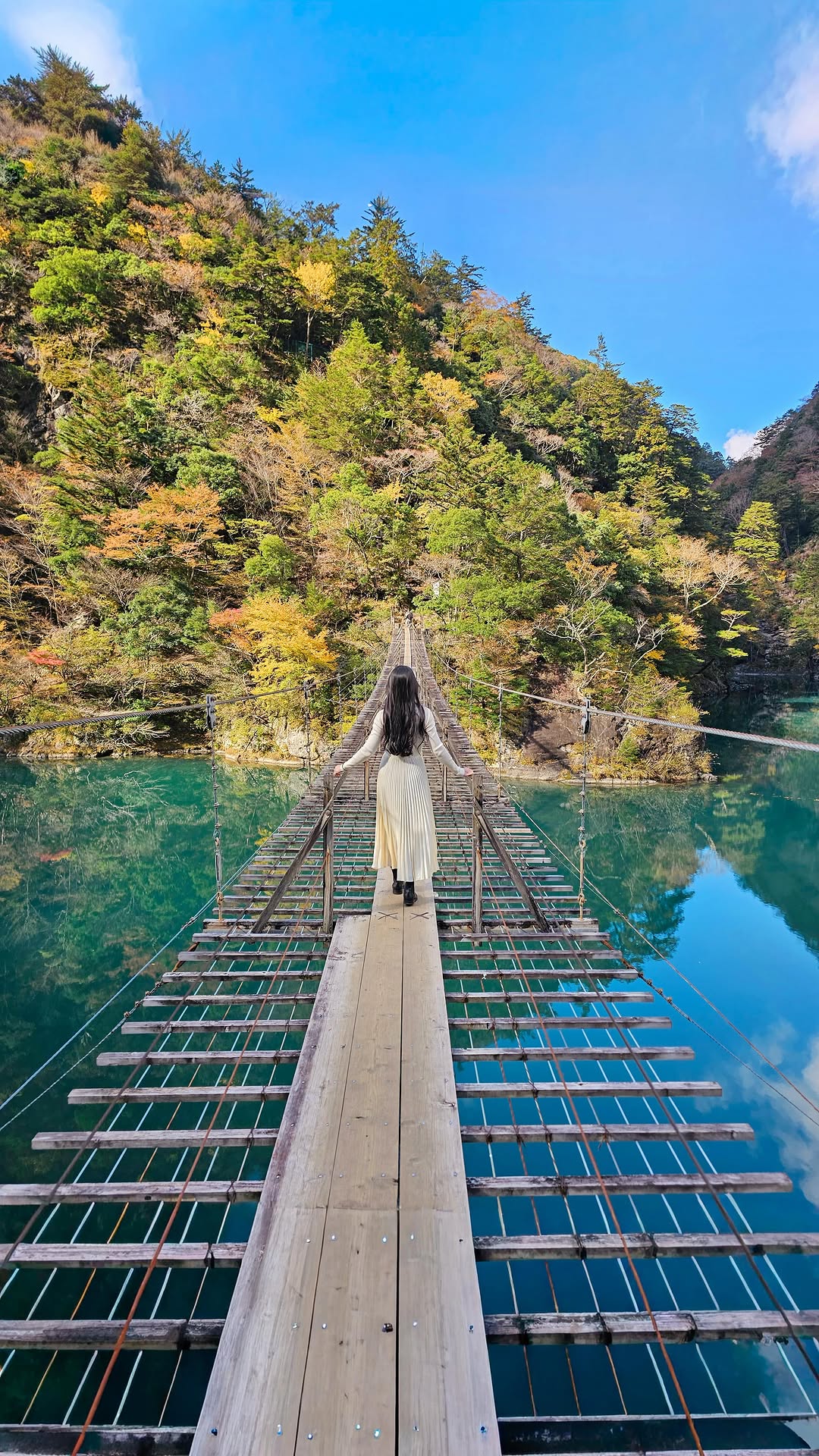 11 Attractions in Shizuoka
