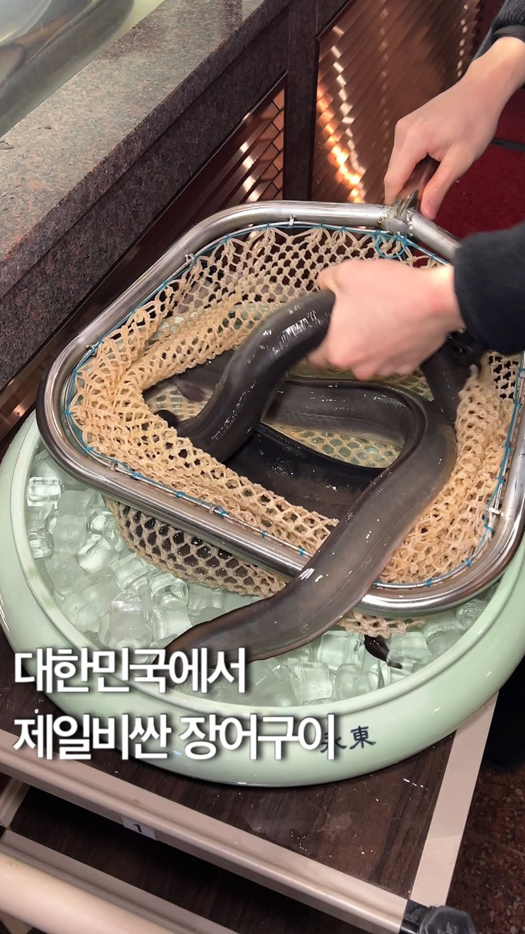 Best Eel Restaurants in Seoul