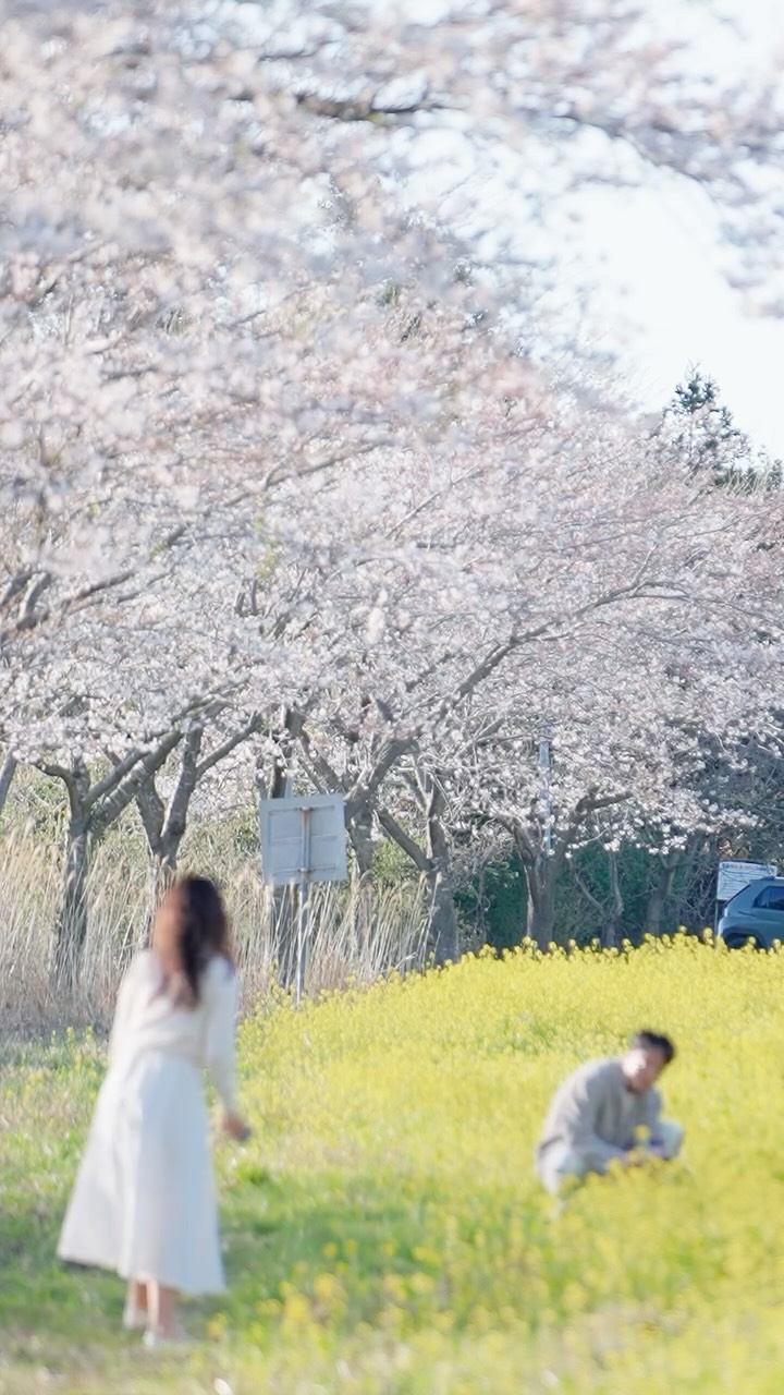 6 Attractions in Jeju-do