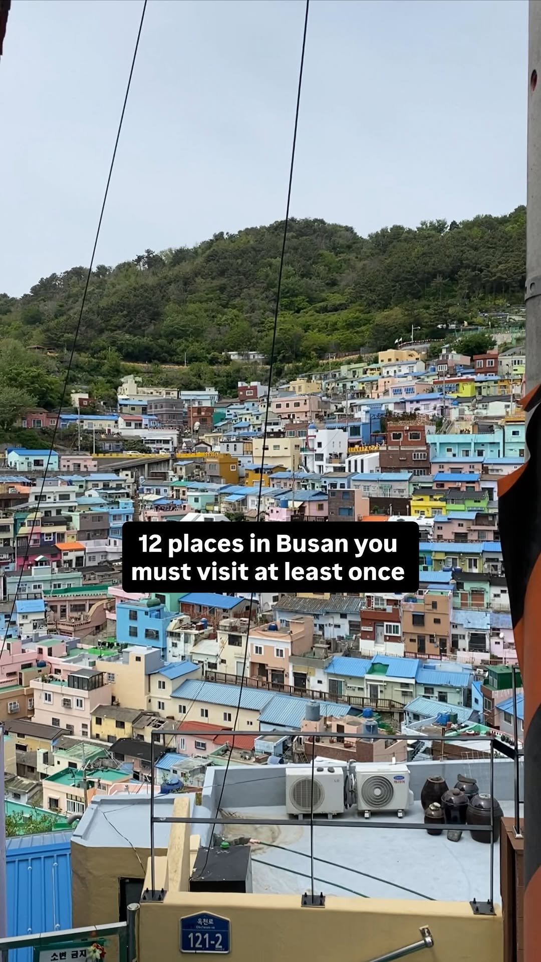 Busan's Coastal Wonders and Vibrant Cultural Hubs