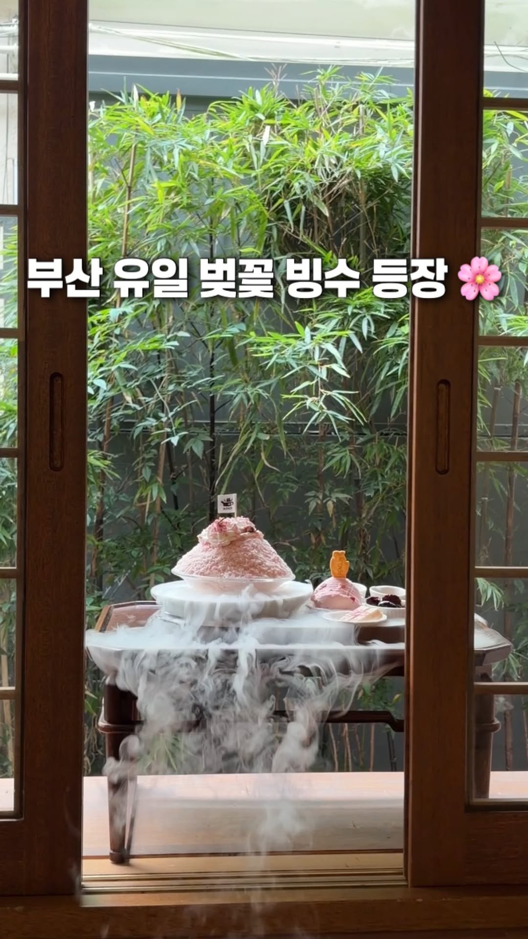 Busan Spring Scenery and Sakura Desserts