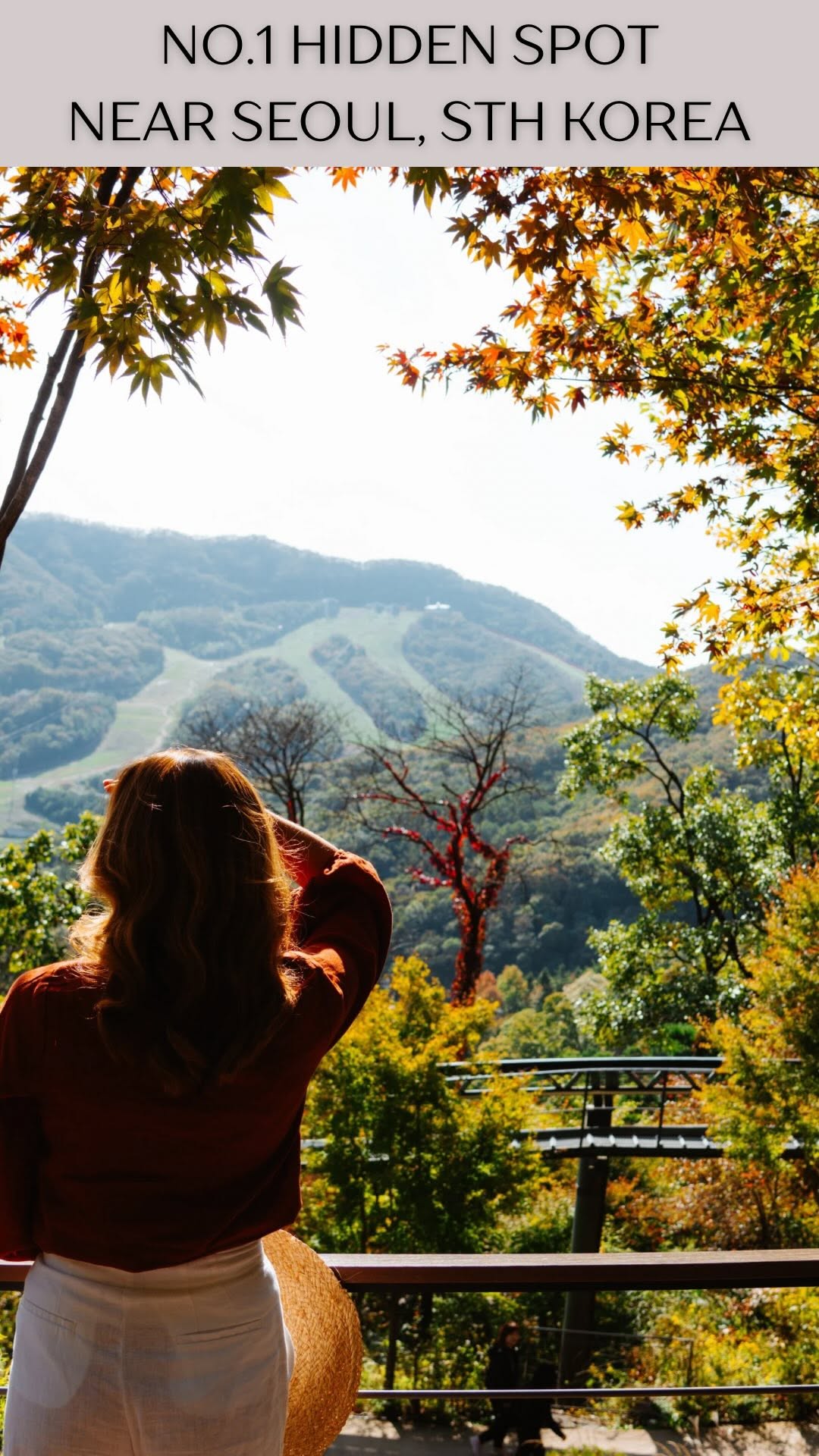 Hwadam Botanical Garden: A Fairytale Forest Near Seoul