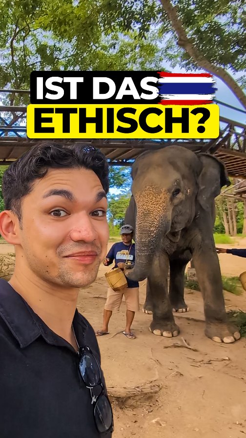 Samui Elephant Sanctuary: Ethical Elephant Care
