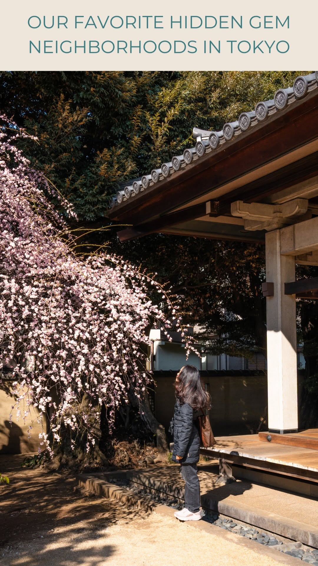 6 Places in Tokyo