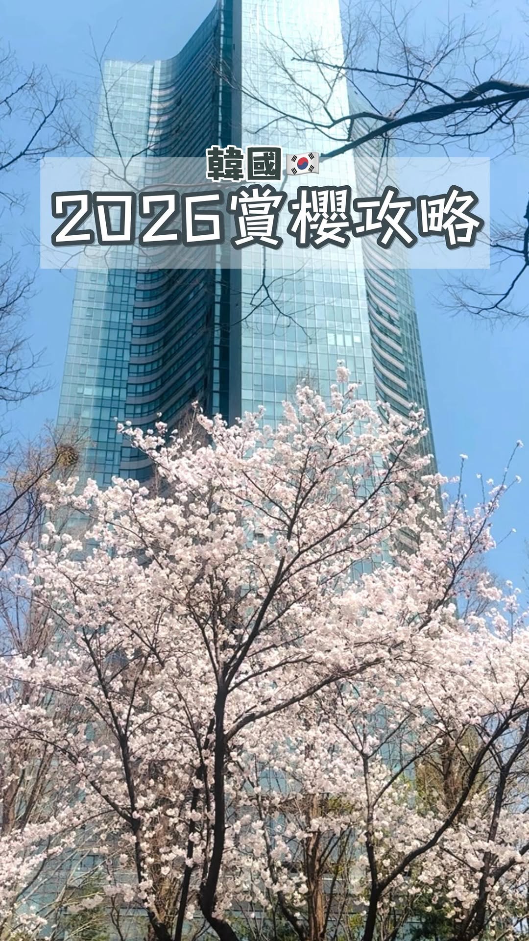 Seoul's Best Cherry Blossom Viewing Spots