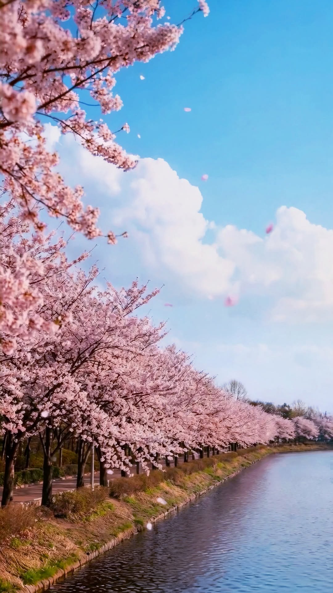 9 Places in South Korea