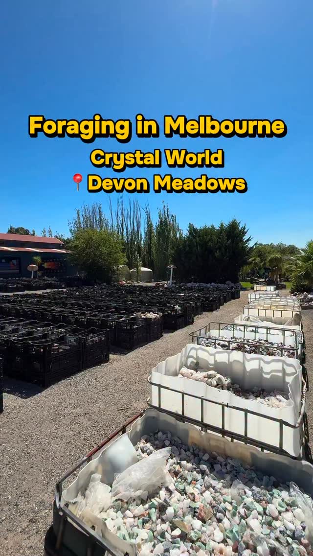 3 Entertainment spots in Devon Meadows