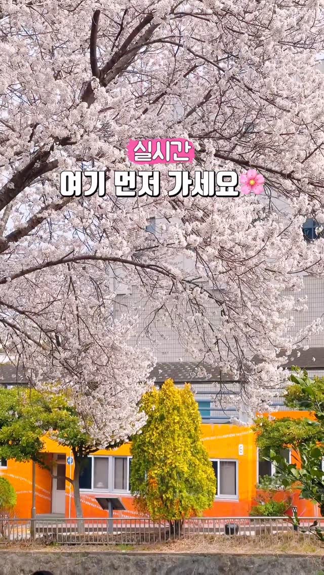 10 Places in Jeju-do