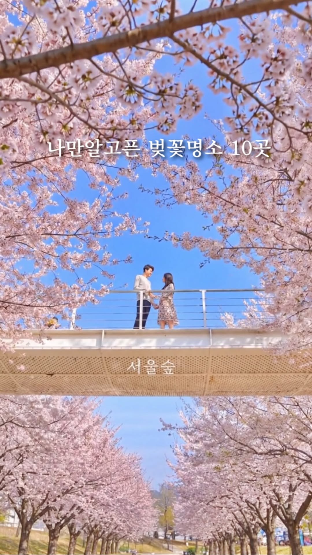 8 Attractions in Seoul