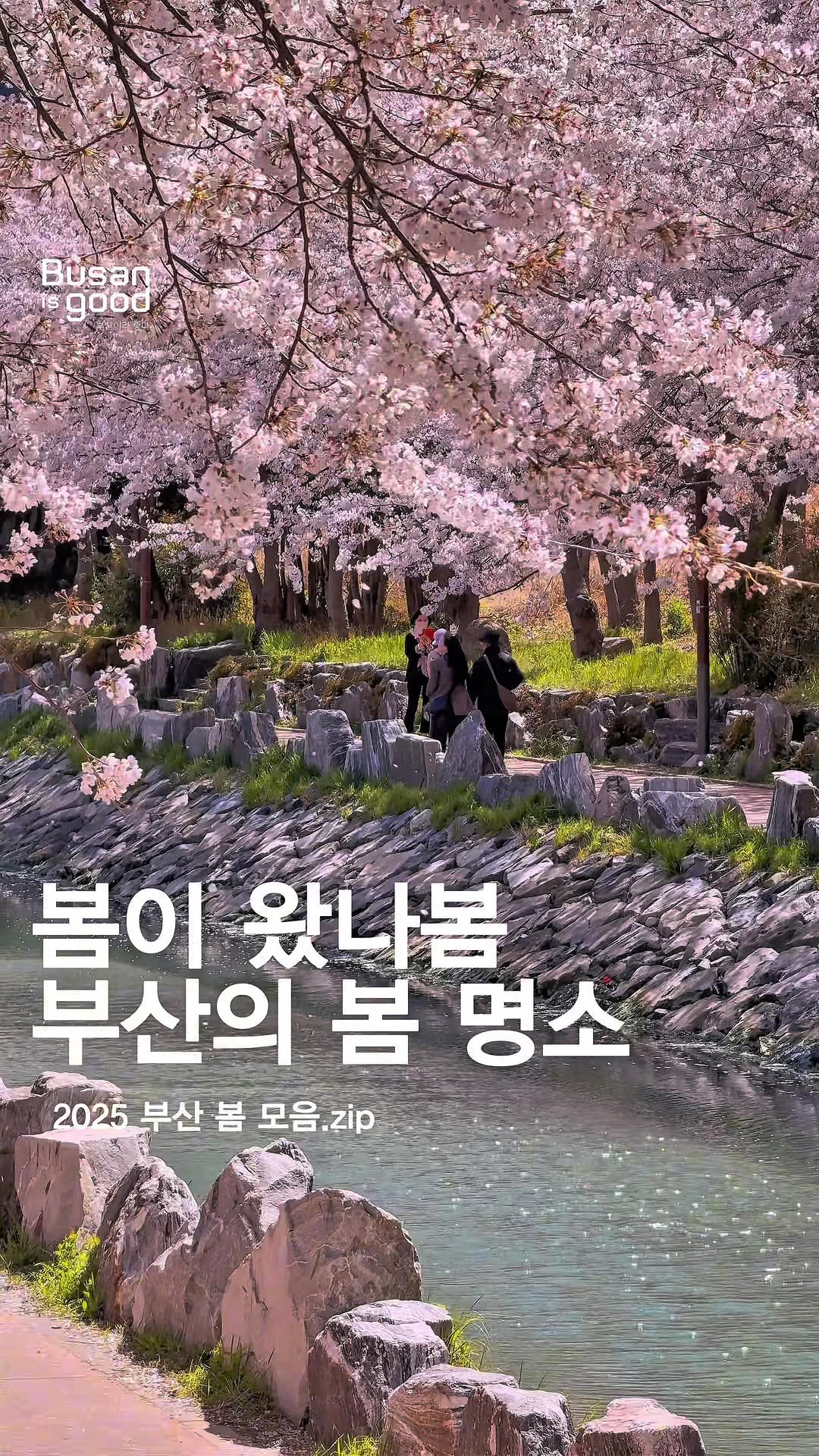 17 Places in Busan