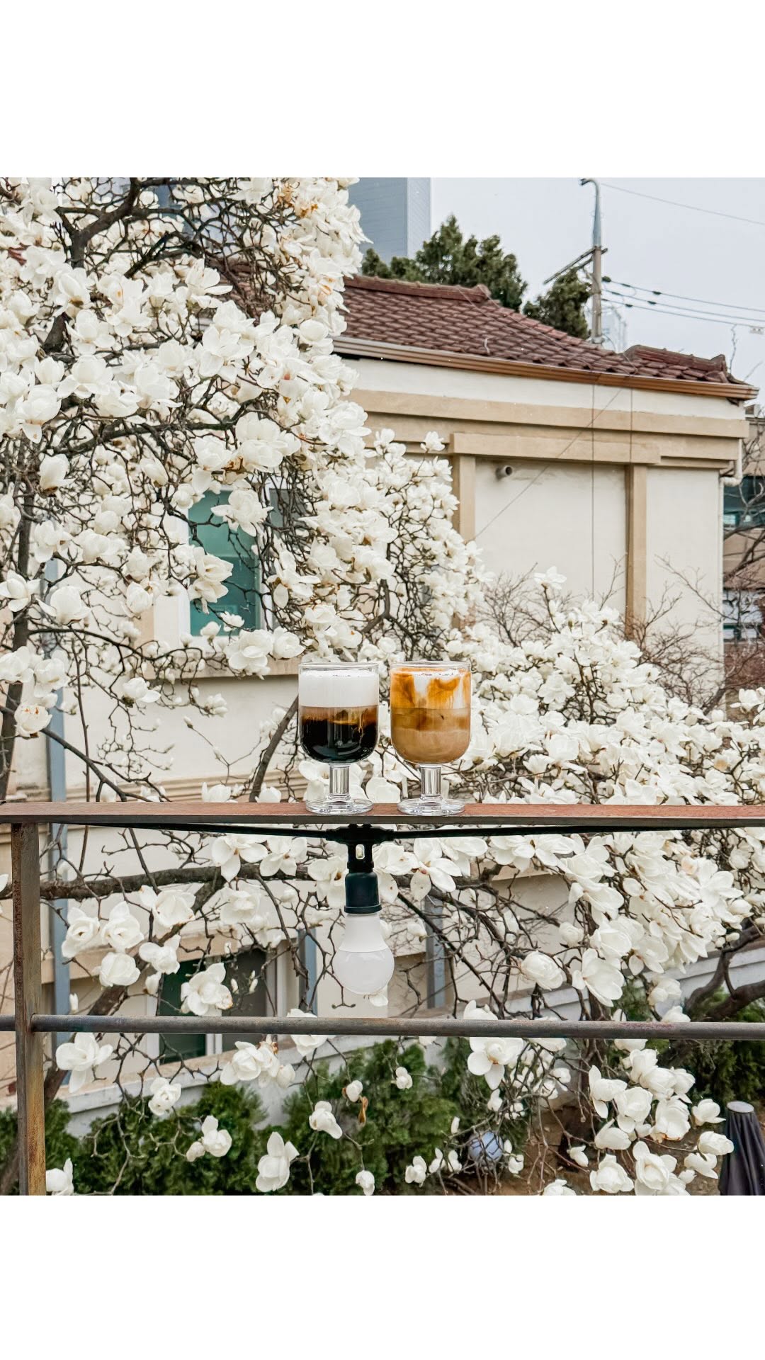 Magnolia Cafes To Visit In Spring