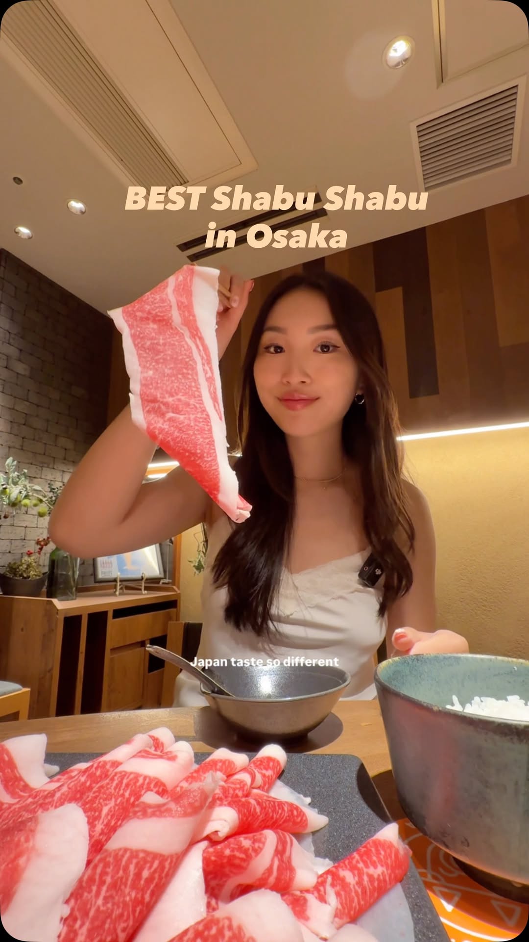 Osaka's Best Shabu Shabu Dining Experiences