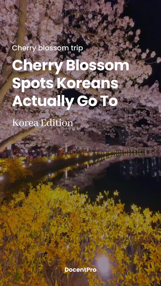 Korean Spring Destinations For Cherry Blossom Season