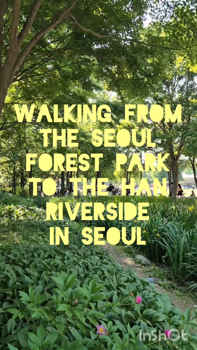 Seoul's Best Parks for Outdoor Enjoyment