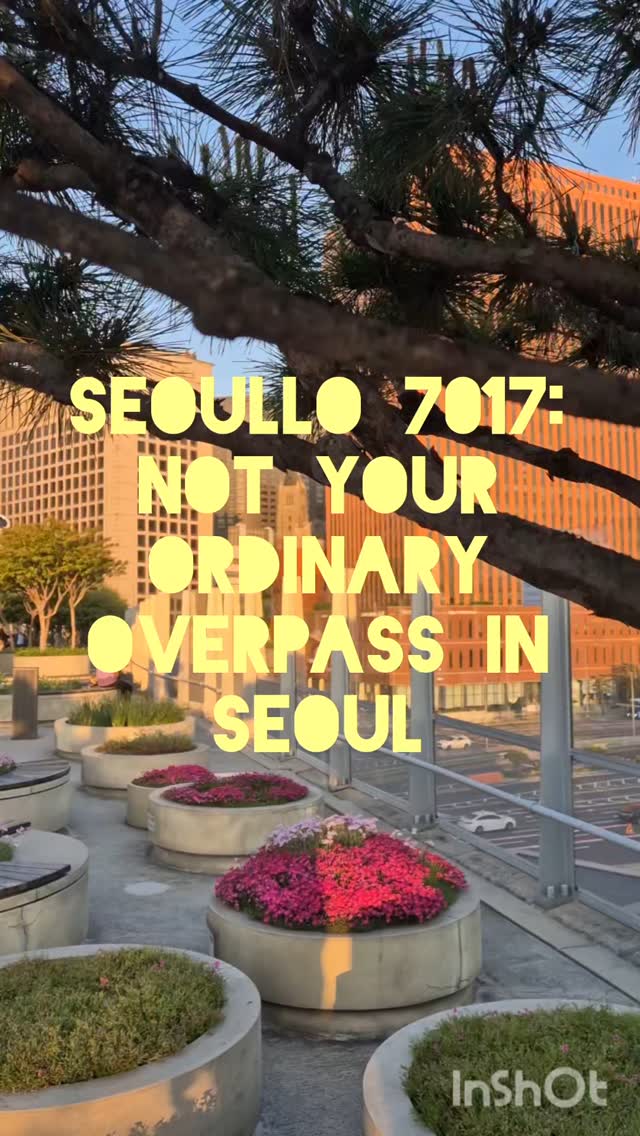 Seoul's Overpass Tourist Attractions