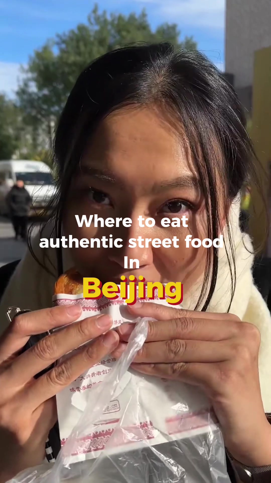 9 Restaurants in Bei Jing Shi