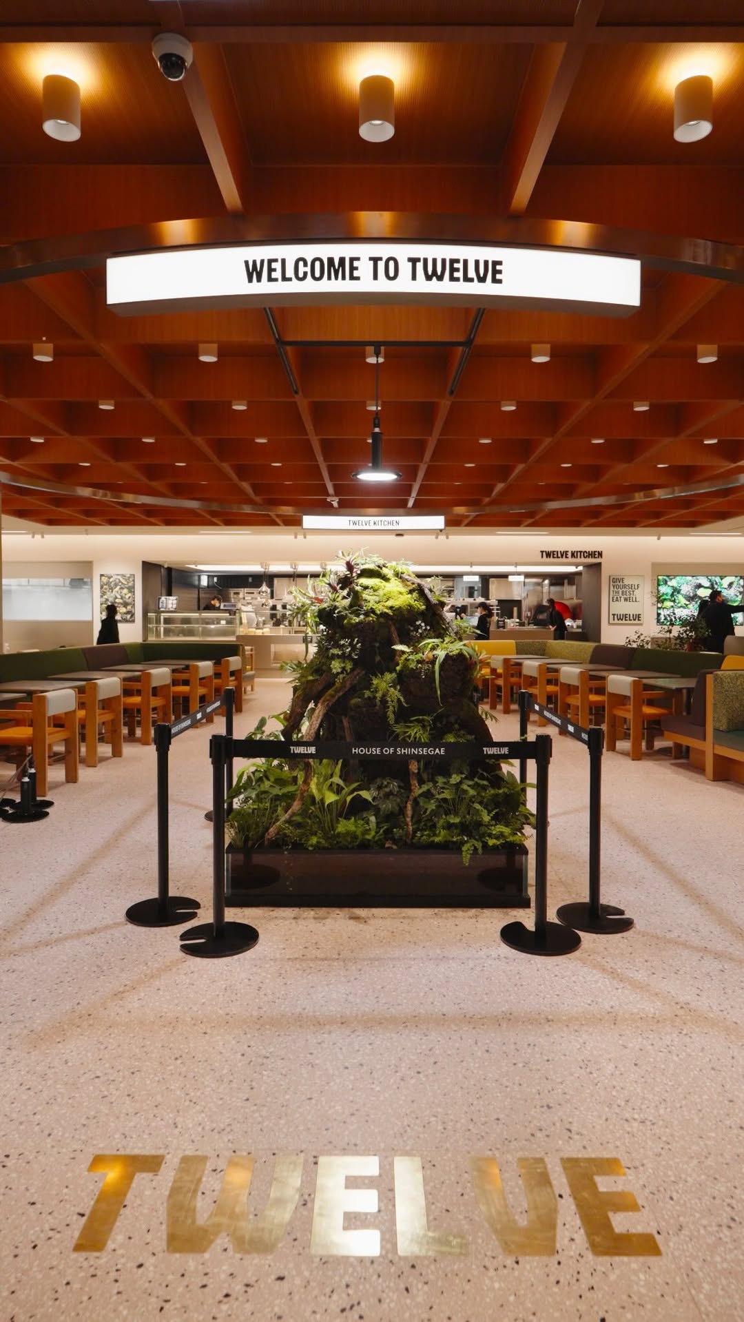 4 Cafes in Seoul