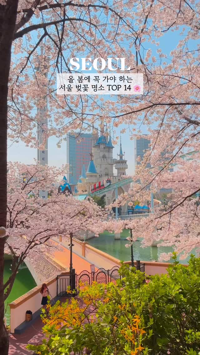 Fourteen Cherry Blossom Viewing Spots in Seoul