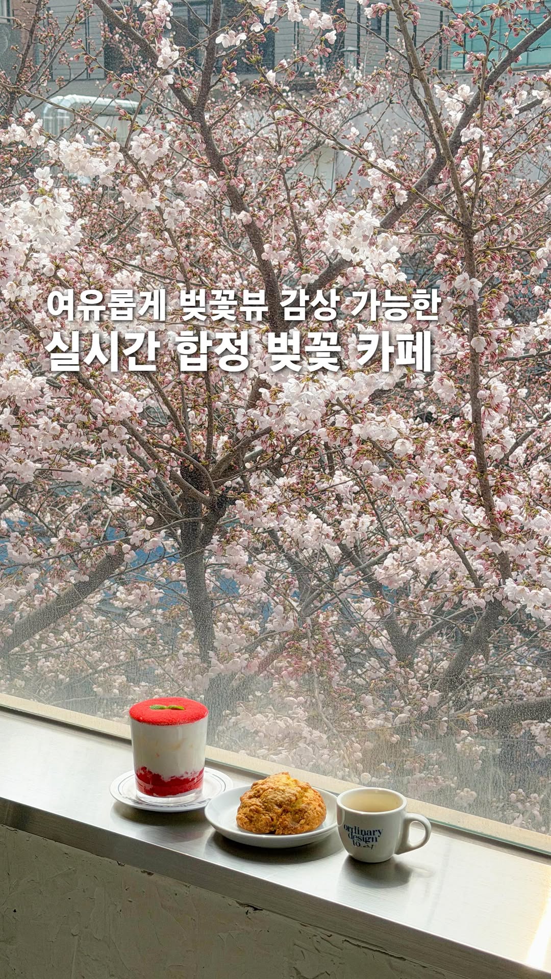 Cherry Blossom Cafes with Few Crowds