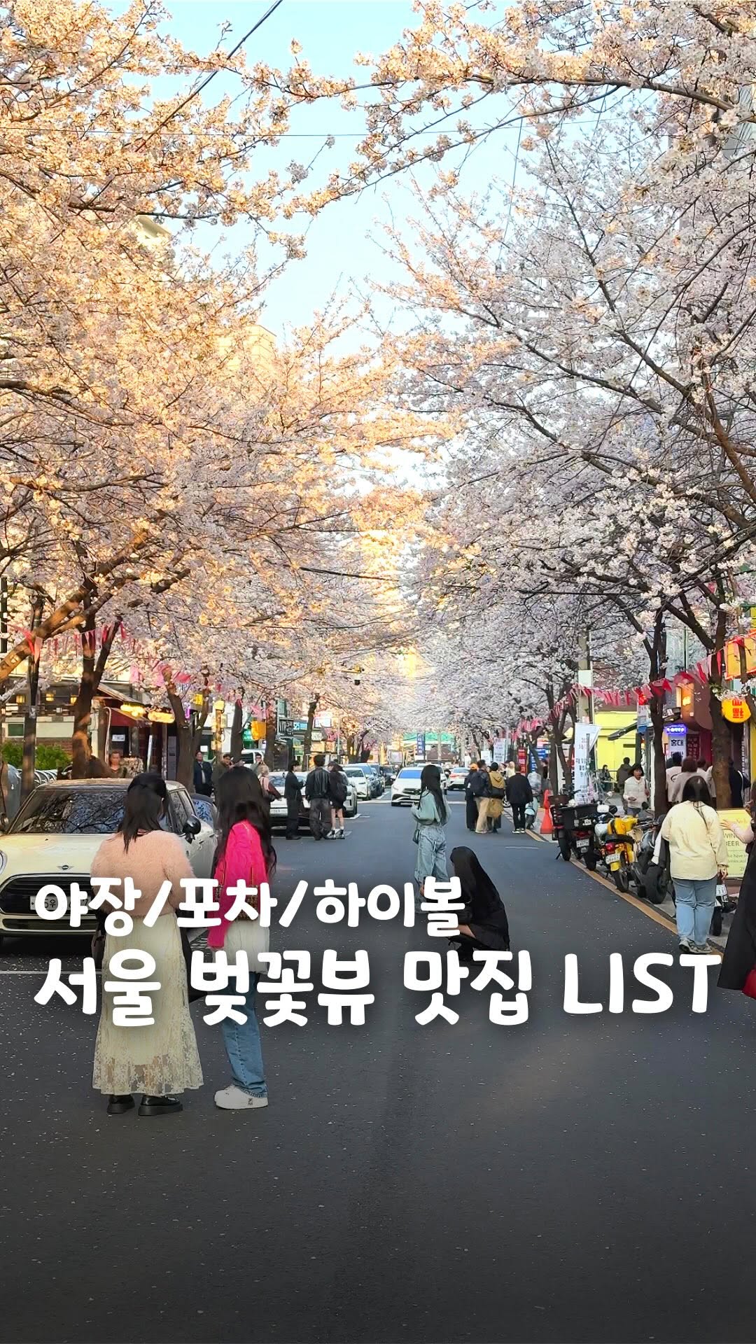 Seoul Restaurants With Cherry Blossom Views