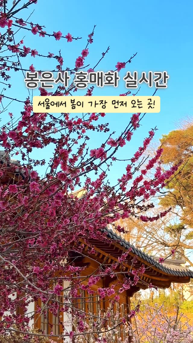 2 Attractions in Seoul