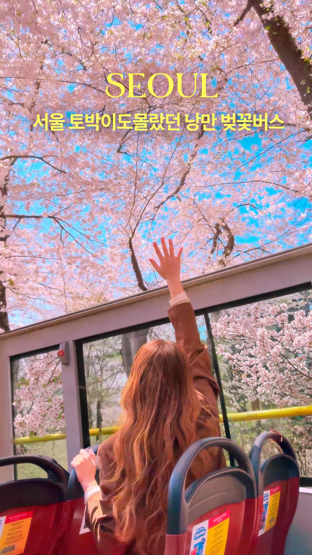 Seoul City Tour Bus Highlights Palaces and Sights