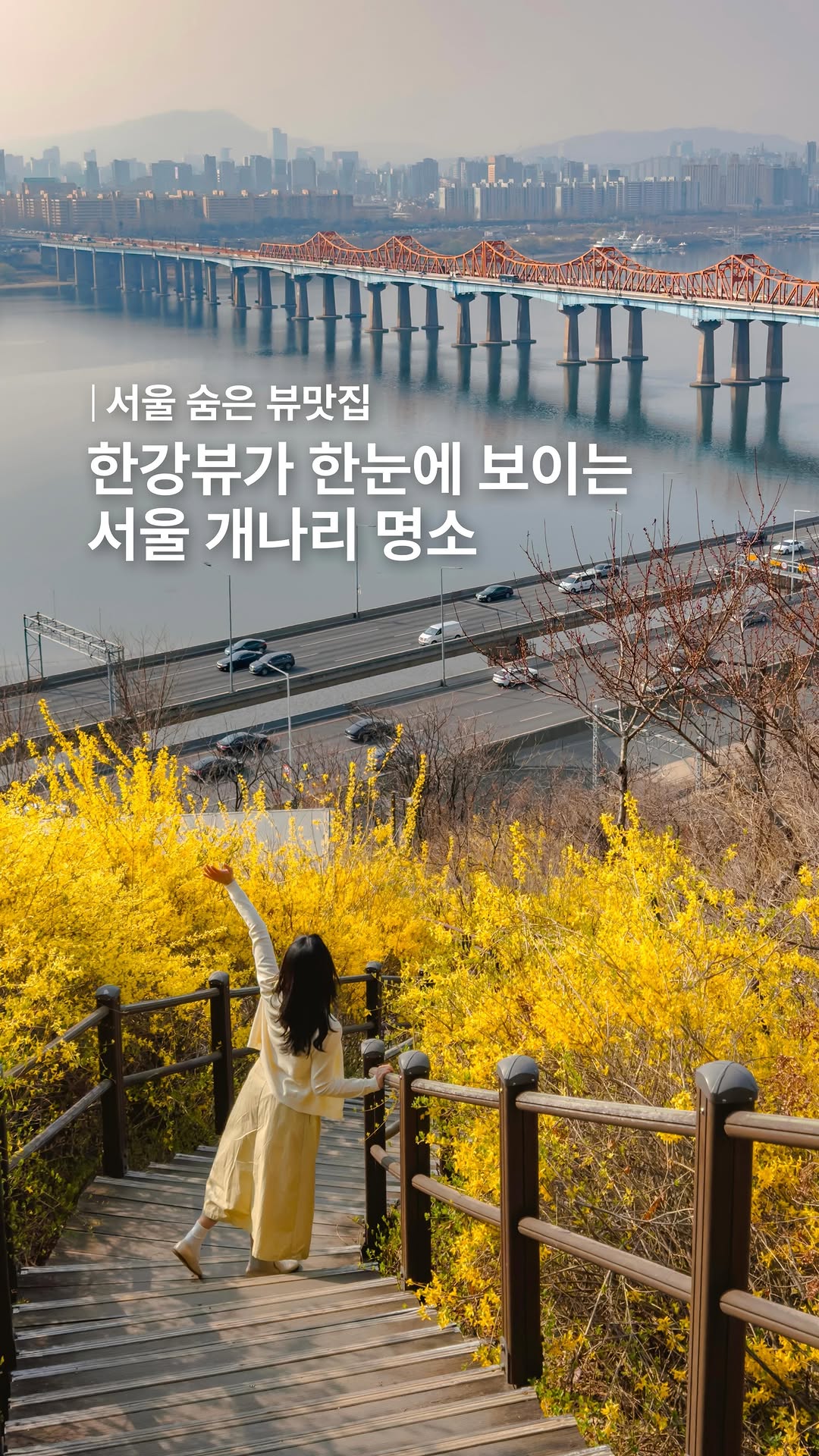 Seoul's Best Spots for Scenic Views