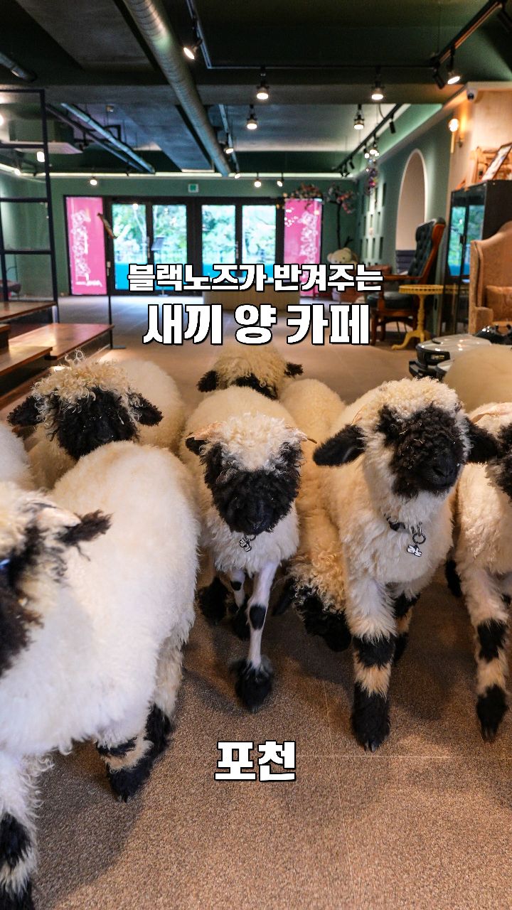 2 Parks in Pocheon-si