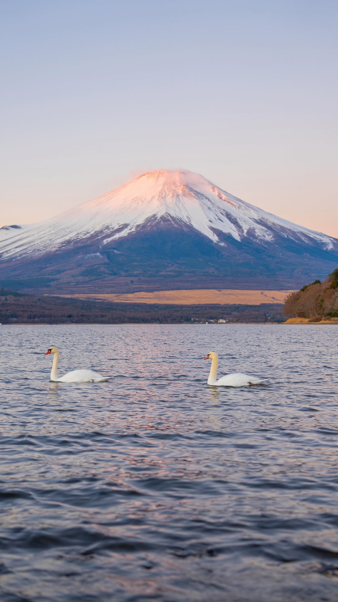 10 Landmarks in Yamanashi