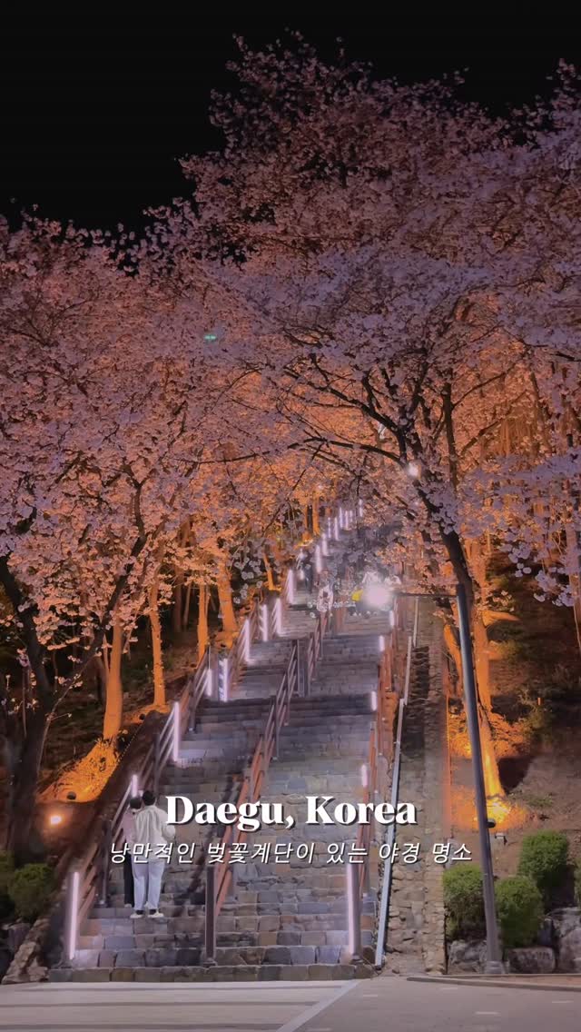 Chimsan Park: Daegu's Blooming Cherry Blossom Destination