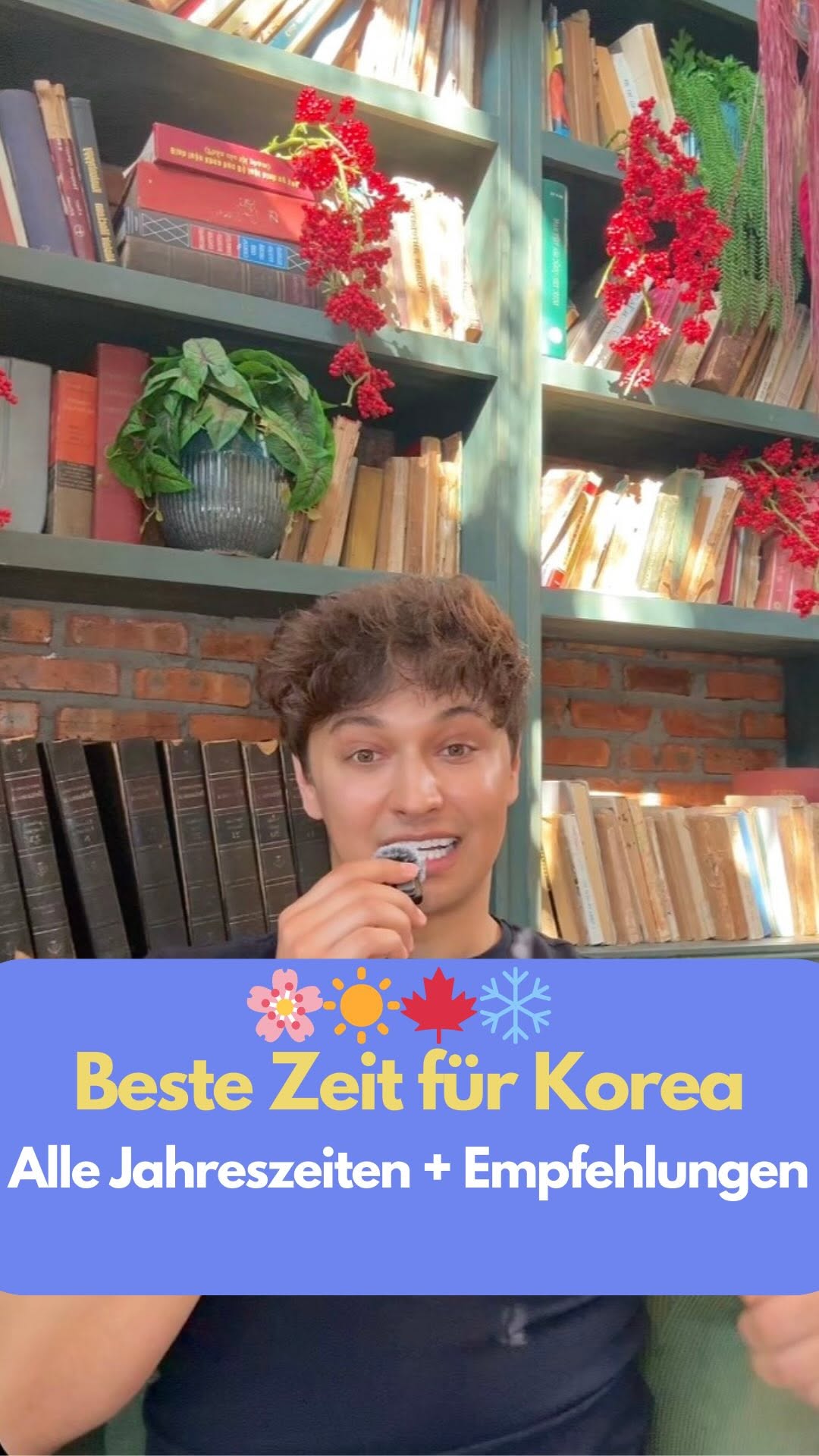 12 Attractions in South Korea