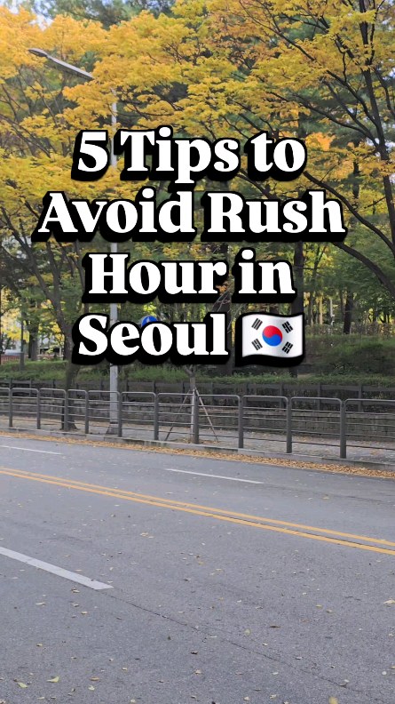 Seoul's Bustling Districts and How to Explore Them Calmly