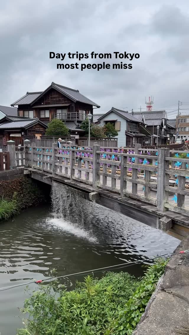 Explore Japan's Hidden Gems Accessible by Public Transport