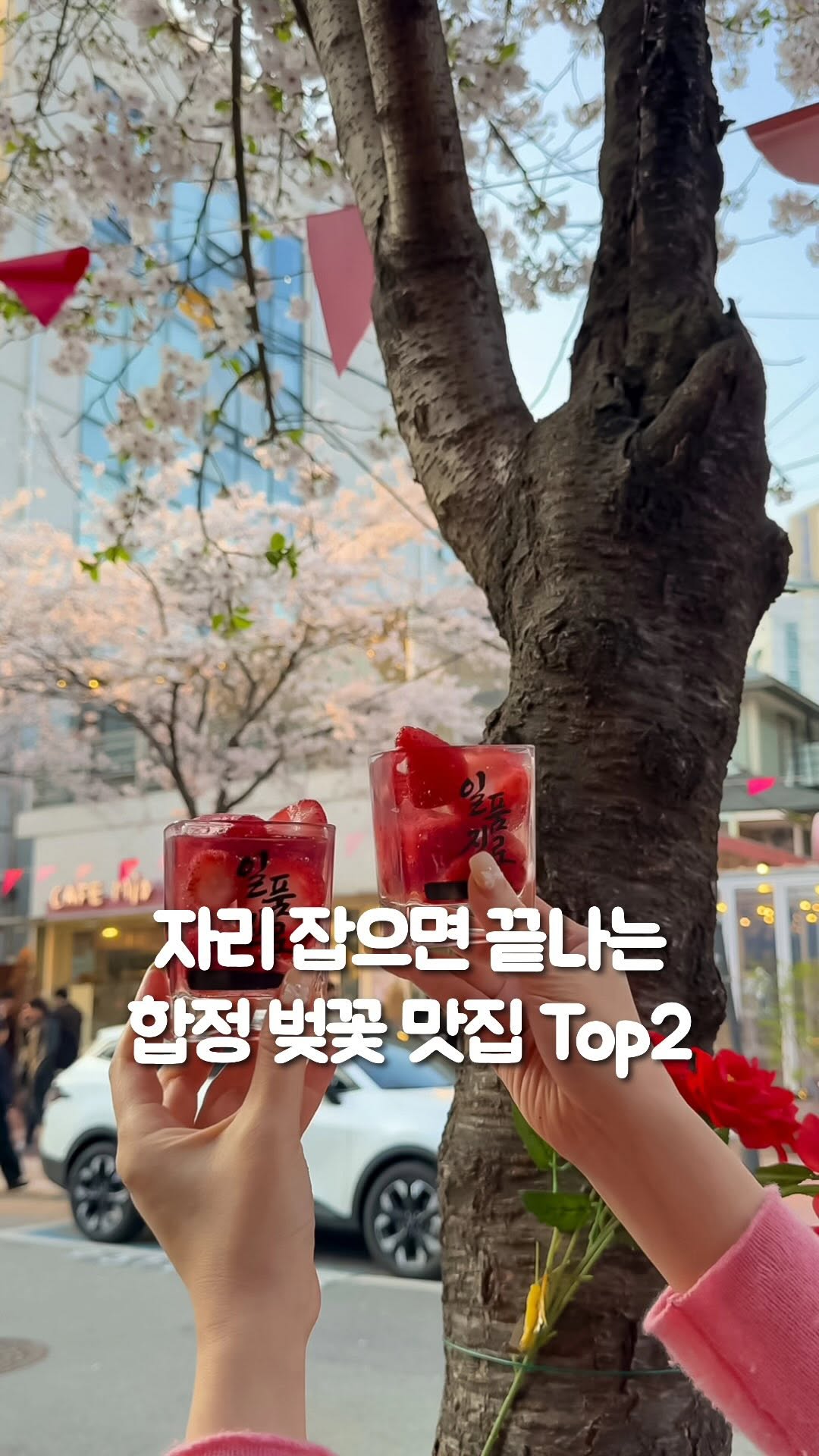 Hapjeong Cherry Blossom Spots With Great Views