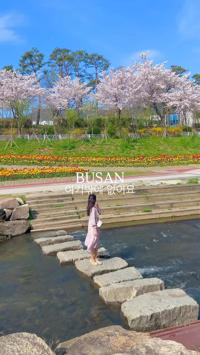Busan Spring Flower Spots