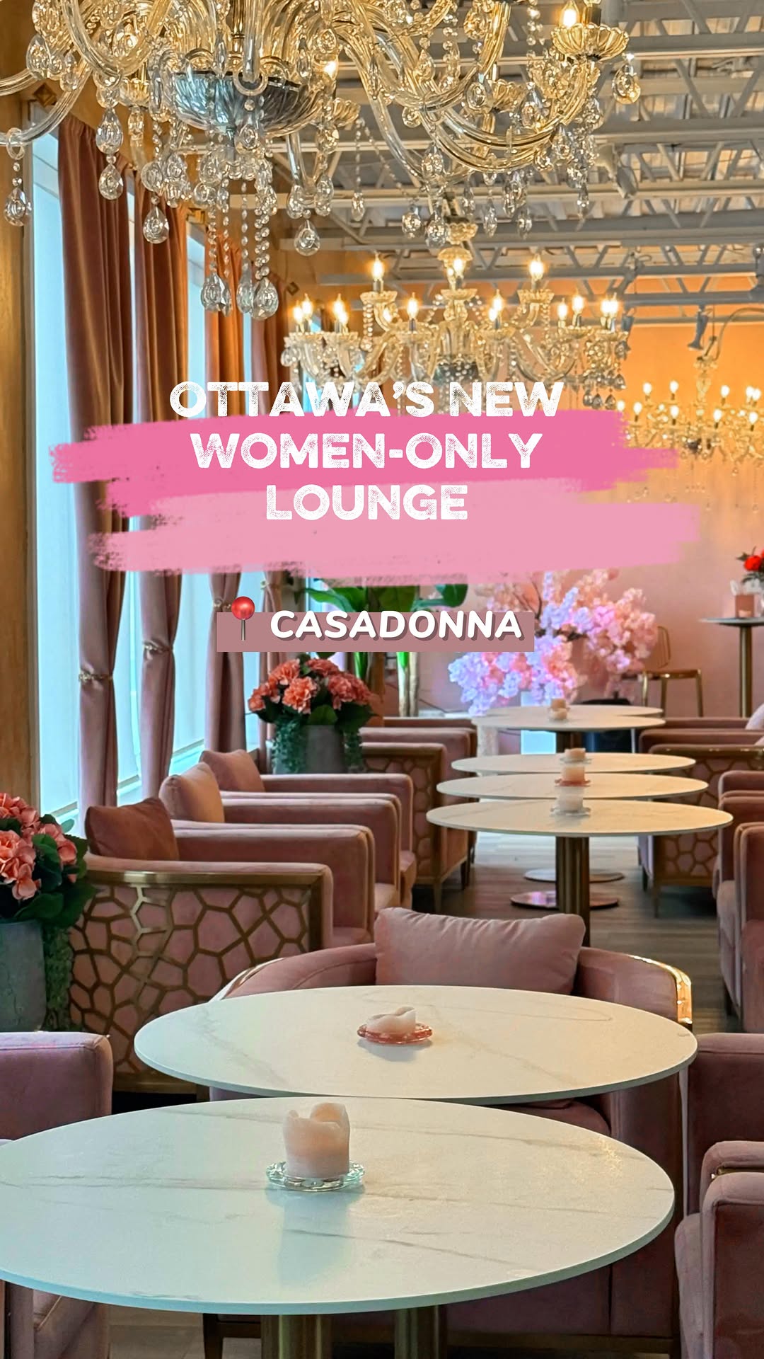 New Women-Only Cafe and Shisha Lounge Opens