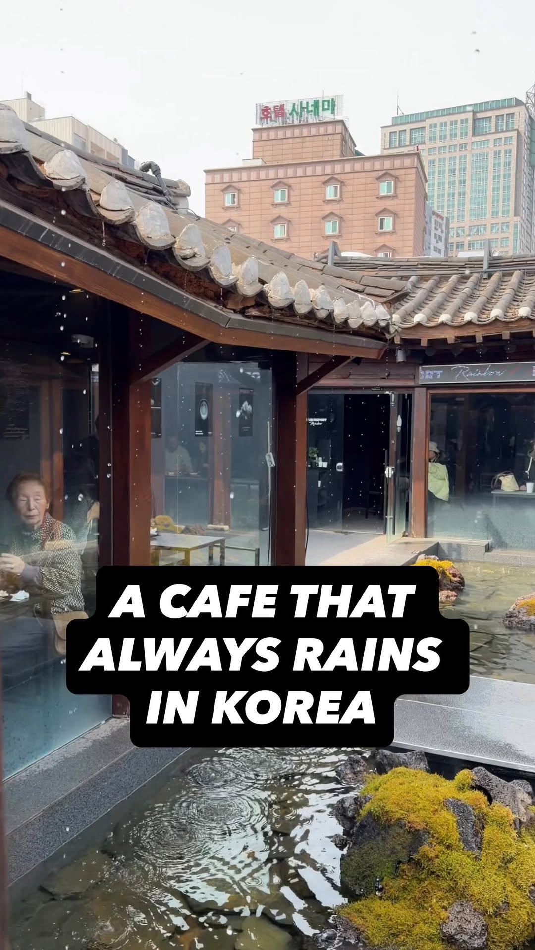 Seoul and Rain Report Rainbow