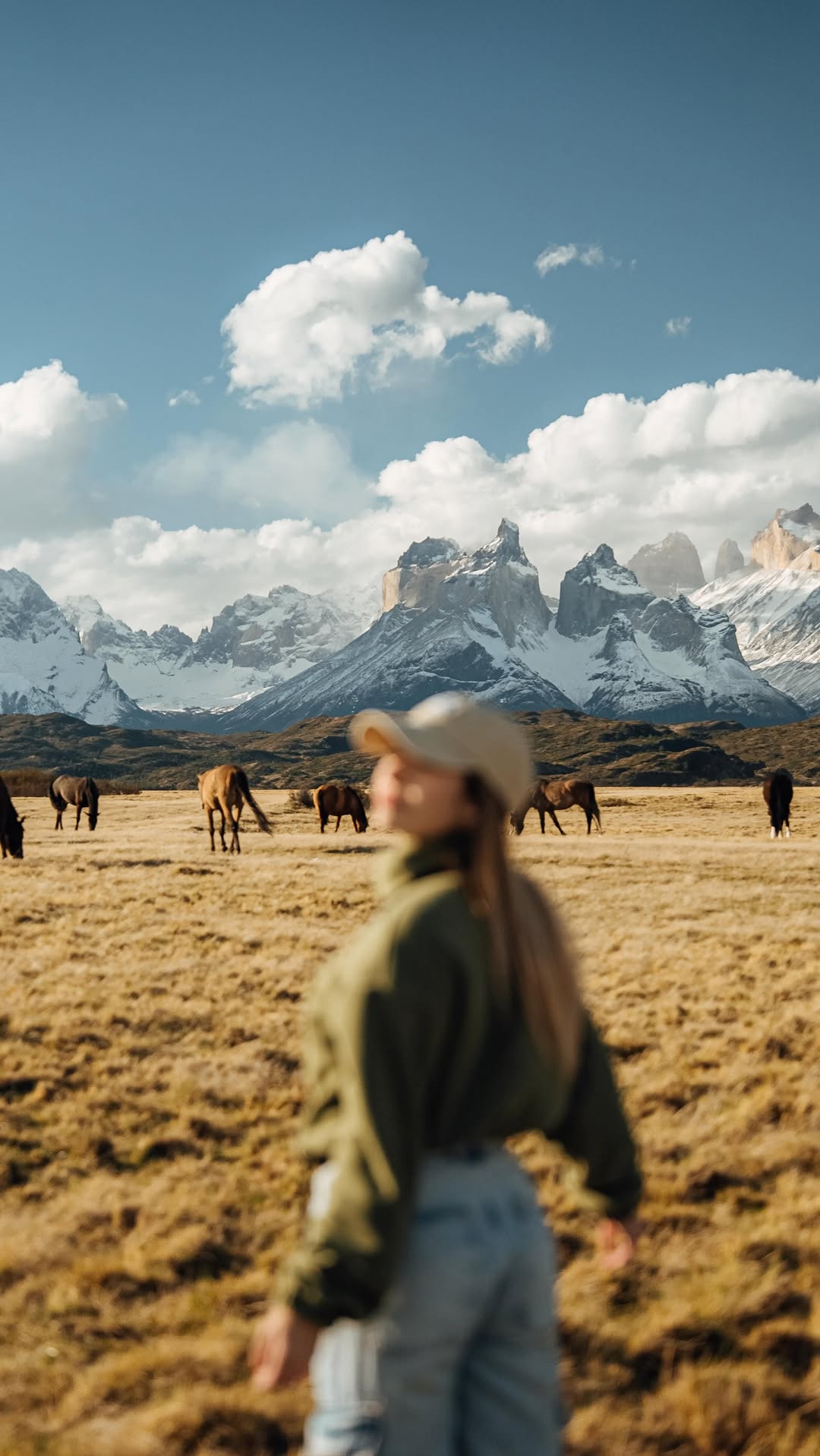 Patagonia's Chilean and Argentinian Wonders