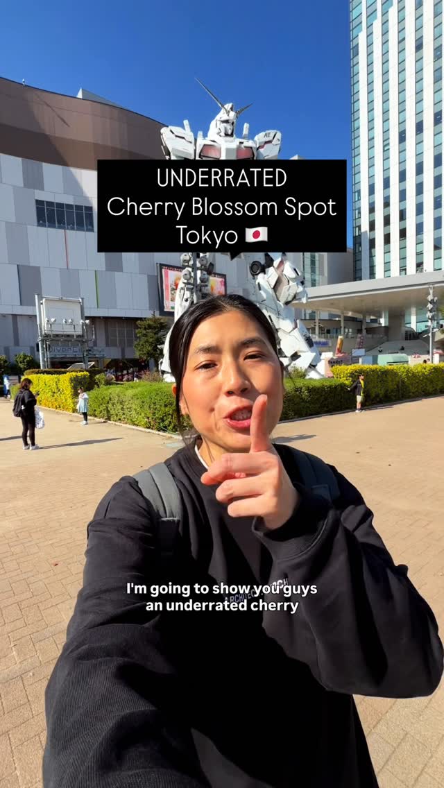 Odaiba: Tokyo's Unexpected Cherry Blossom Gem