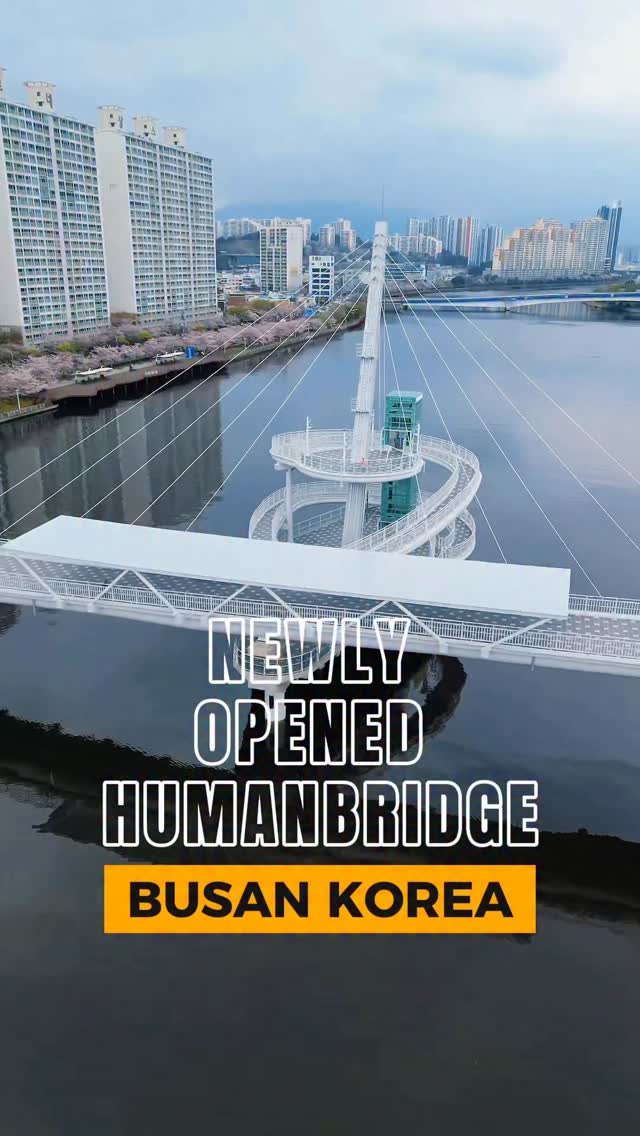 New Human Bridge Connects Haeundae To Busan Harbor