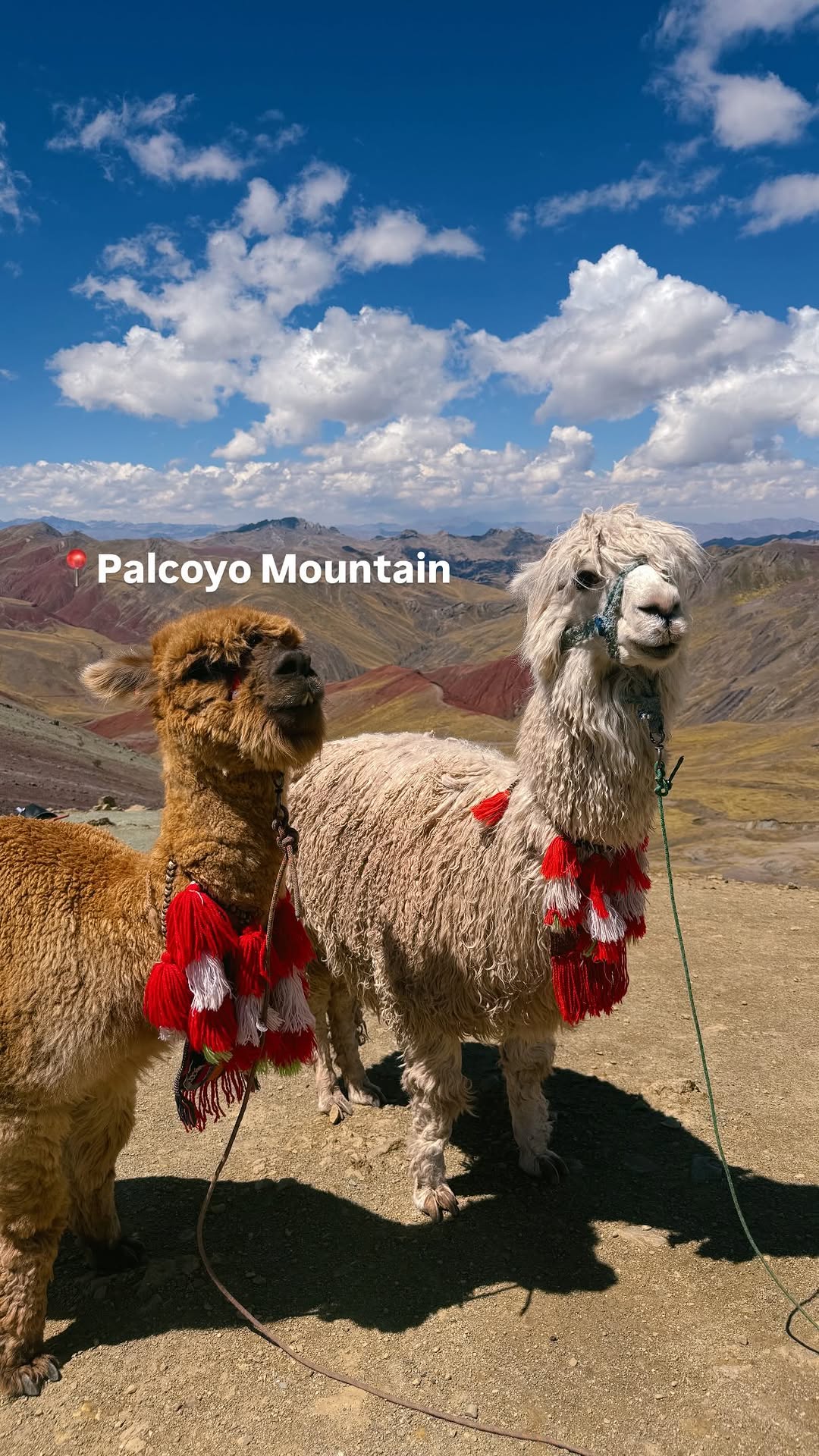 3 Places in Cusco