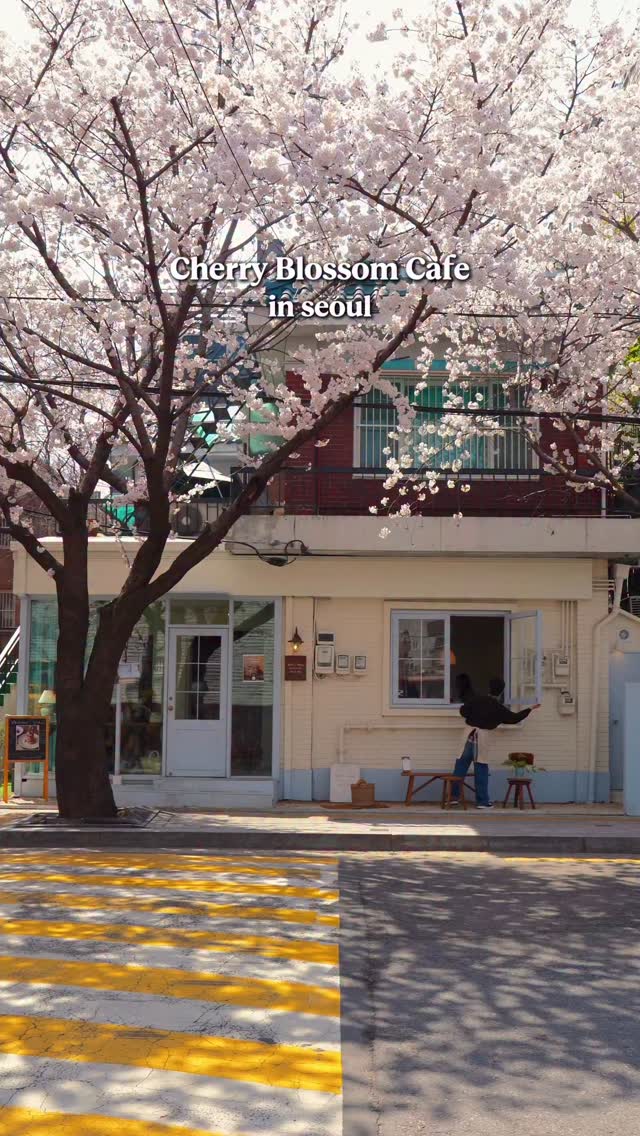 Cherry Blossom Cafes With Sweet Treats
