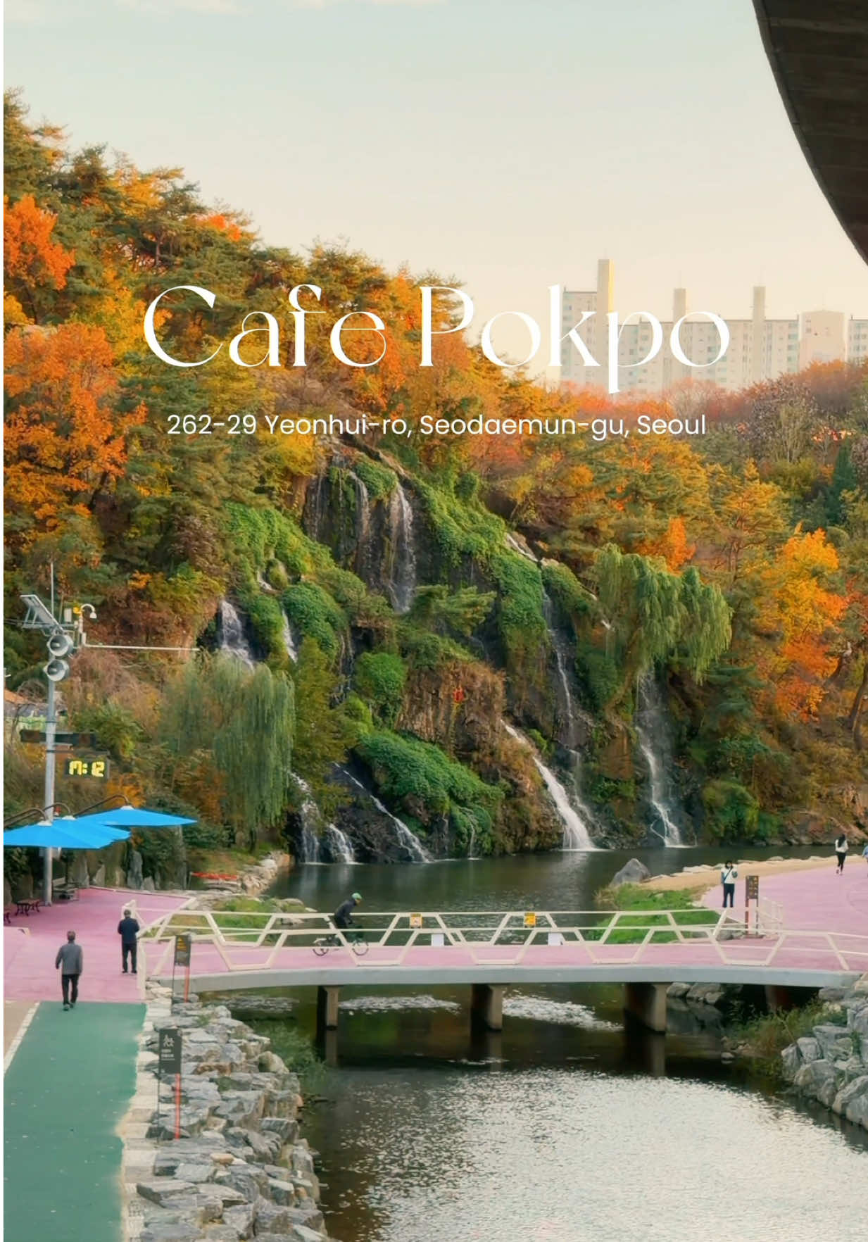 Seoul and Cafe Pokpo