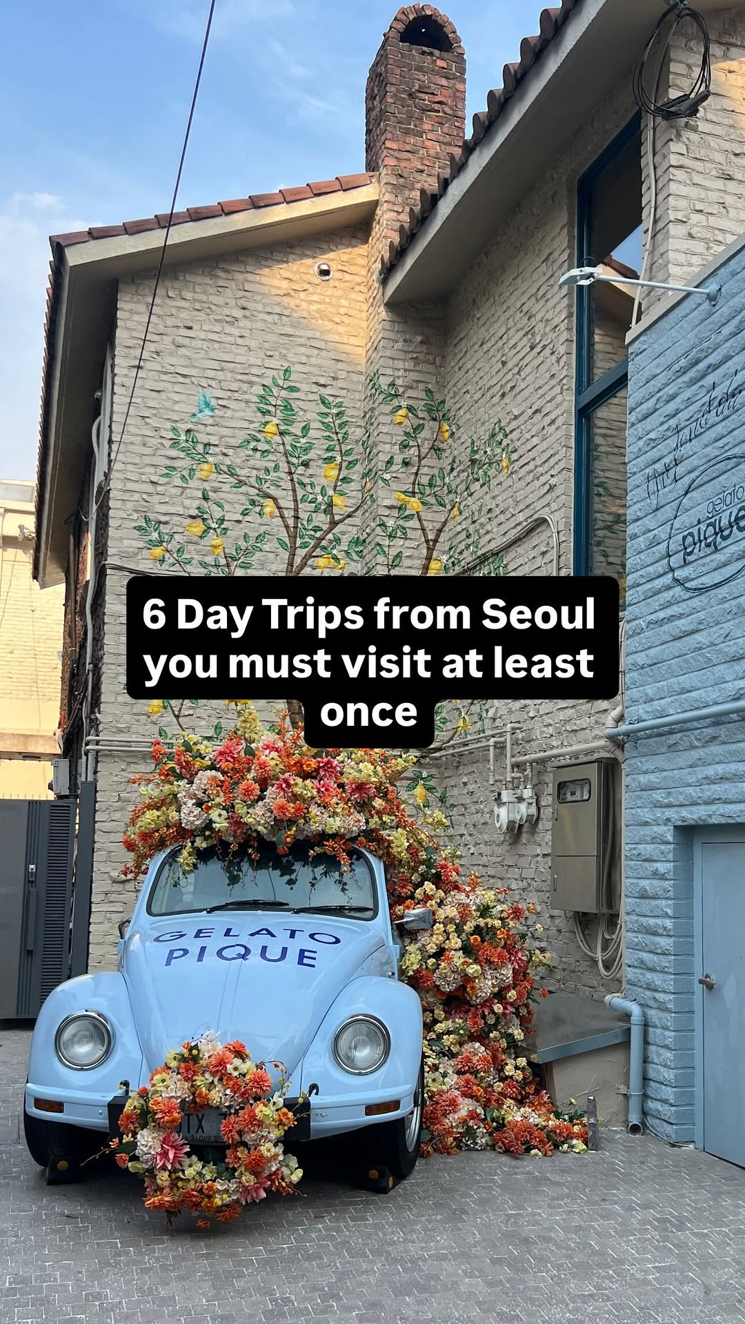 Popular Day Trips From Seoul for Beaches and Culture
