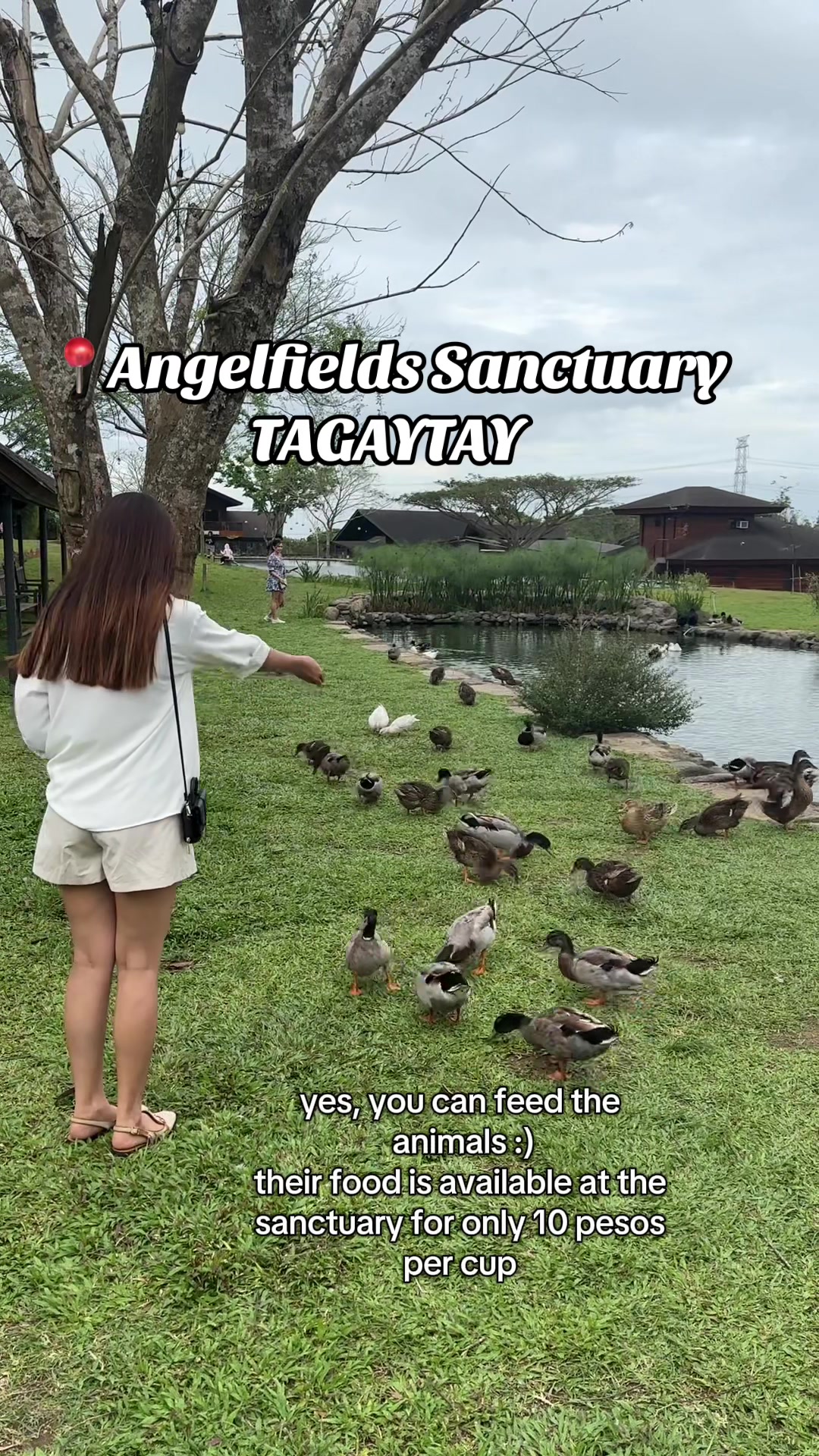 Angelfields Nature Sanctuary New Tagaytay Spot