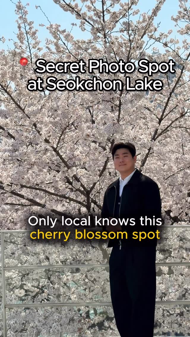 Seokchon Lake Cherry Blossom Viewing Spots