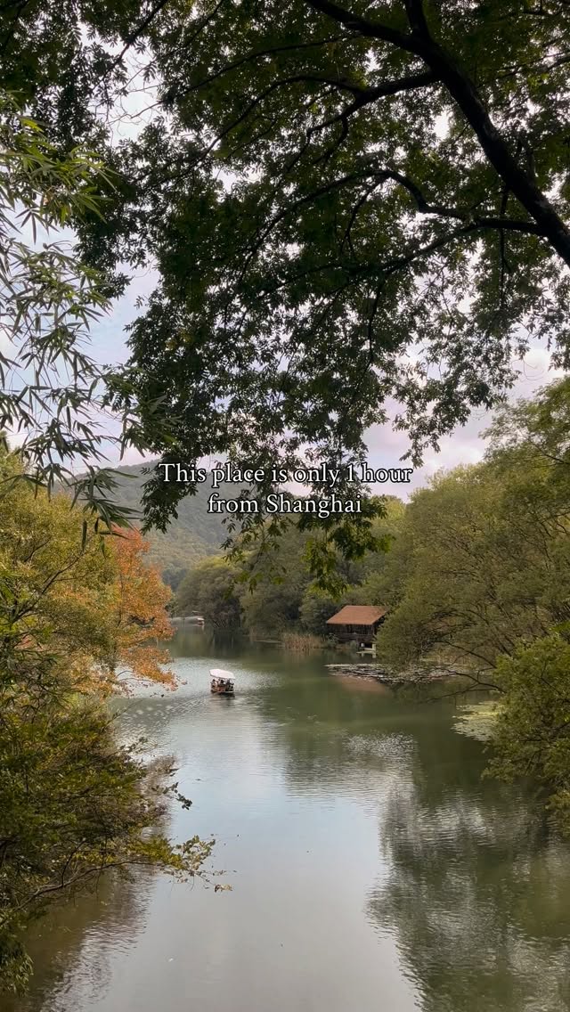 Hangzhou's Tranquil West Lake and Tea Fields