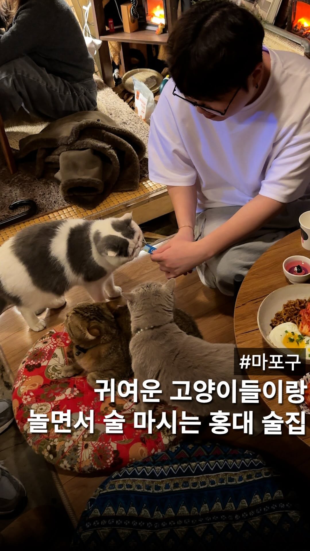 Hongdae Cat Cafes Offer Drinks, Food, and Play