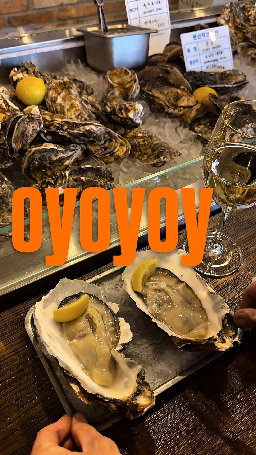 Oyster, Wine, and Whiskey Bars in Seoul