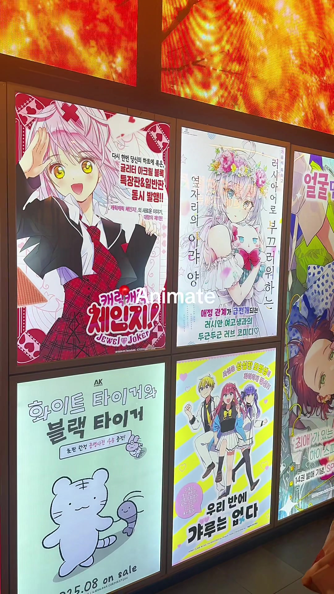 Hongdae Street, AK Plaza, and Cinnamoroll Cafe